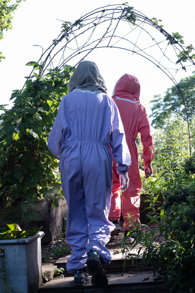 Volunteer beekeepers dressed in bee suits preparing to inspect the hives