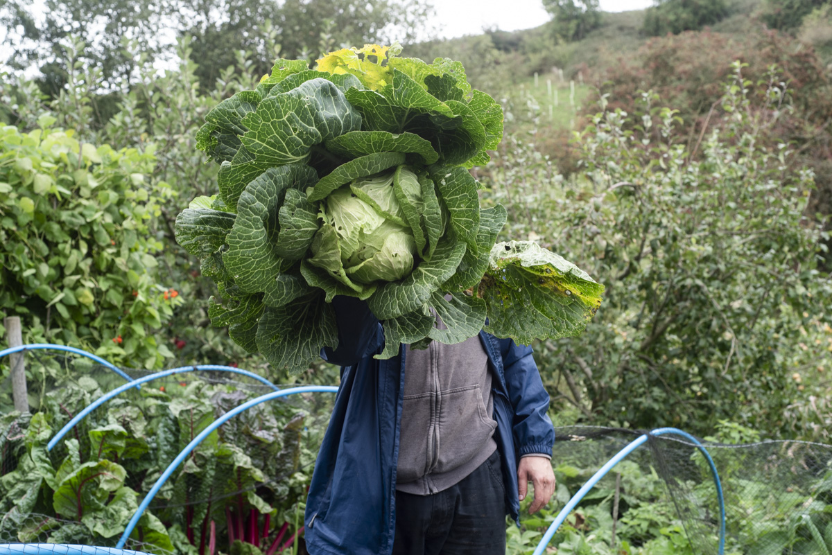 The-Allotment-100.jpg